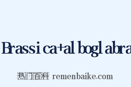 Brassica+alboglabra是什么意思的图片